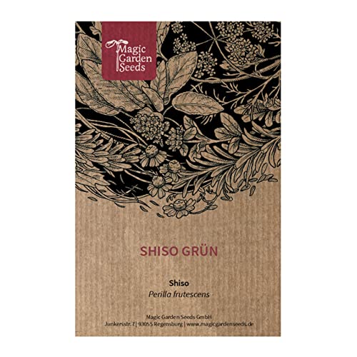 Perilla/Egoma (Perilla Frutescens) - Circa 200 Semi