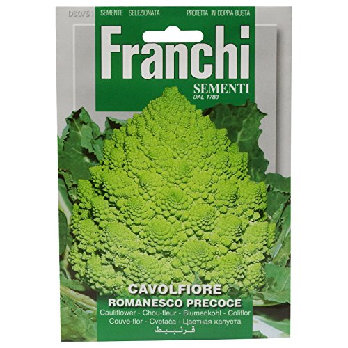 Sementi Di Ortaggi Di Qualita' Per Uso Hobbystico Protette In Doppia Busta (Cavolfiore Romanesco Precoce)
