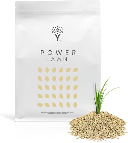 Moowy Power Lawn Semi Per Prato A Crescita Rapida 250 M² - Sementi Super Resistenti E Durevoli Di Qualità Superiore Con Rivestimento Biostimolante Per