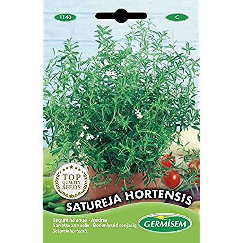 Germisem Satureja Hortensis Annuali Semi Di Salato 2 G