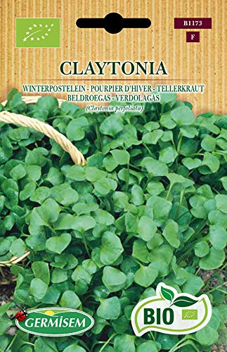 Germisem Biologico Claytonia Semi Di Purslane 1 G
