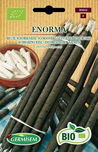 Germisem Biologico Enorma Semi Di Salsify 2 G