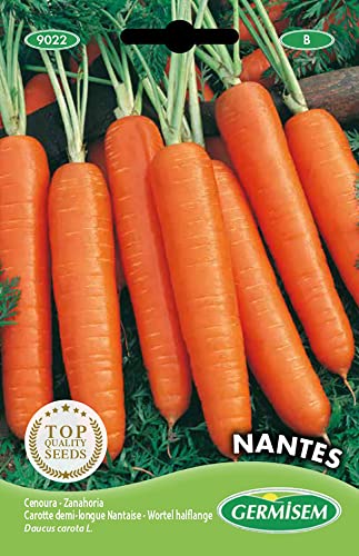 Germisem Nantes Semi Di Carota 10 G