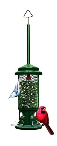 Squirrel Buster Mangiatoia Per Uccelli Standard A Prova Di Scoiattolo Con 4 Posatoi In Metallo, Capacità Di Semi 0,6 Kg