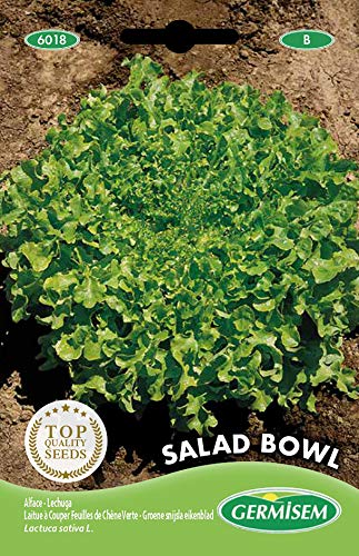 Germisem Salad Bowl Semi Di Lattuga 5 G