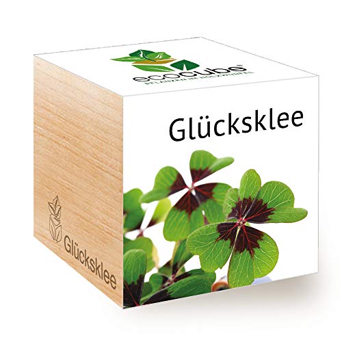 Feel Green Ecocube Lucky Clover, Idea Regalo Sostenibile (100% Eco-Friendly), Grow Your Own / Set Di Piante, Piante In Wood Cube, Made In Austria