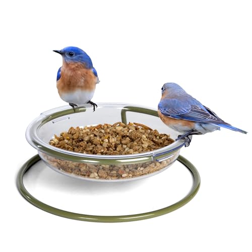 Jacobi Jayne I Love Robins - Mangiatoia Per Uccelli, Facile Da Pulire, Colore: Verde