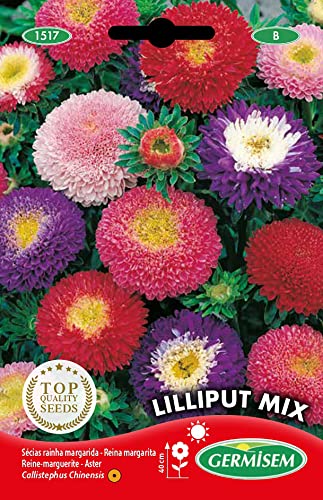 Germisem Lilliput Mix Semi Di Aster Cinesi 1 G