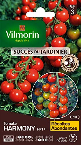 Vilmorin - Pomodoro Harmony - Varietà Precoce - Vigoroso - Resa Fino A 2-4 Kg Per Piede- Tipo Cocktail - Carne Succosa E Gustosa - Resistente Alle Mal
