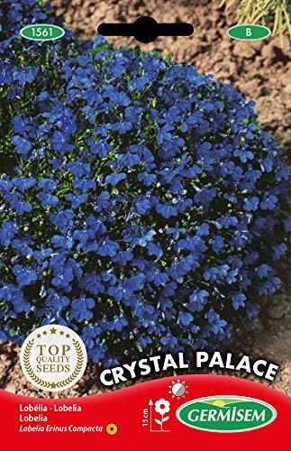 Germisem Crystal Palace Semi Di Lobelia 0.3 G