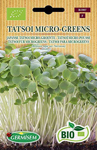 Germisem Biologico Tatsoi Micro-Greens Semi 10 G