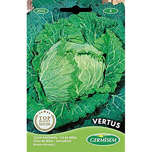 Germisem Vertus Semi Di Cavolo Savoia 3 G