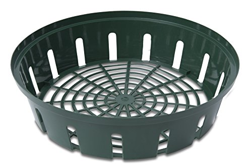 Windhager Vassoio Di Semi Bulbi Da Fiore, Verde, Diametro 22 Cm, 3 Pezzi
