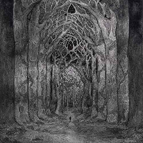 Within The Darkness Between The Starlight