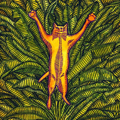Gatos Do Sul