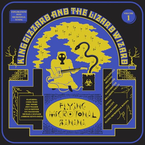 Flying Microtonal Banana (Eco Vinyl) [Vinyl]