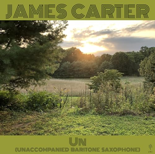 Un (Unaccompanied Baritone Saxophone) [Vinyl Lp] [Vinyl]