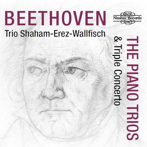 Beethoven: Die Klaviertrios Und Das Tripelkonzert