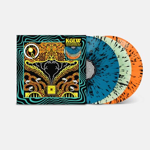 Acoustic Gizzard Vol. Ii - Live In San Diego '24