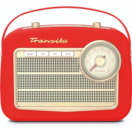 Technisat Transita 130 - Radio Portatile Dab+/Fm Con Regolatore Di Frequenza Fm (Streaming Audio Bluetooth, Usb, Display Lcd A Matrix, Batteria Fino A