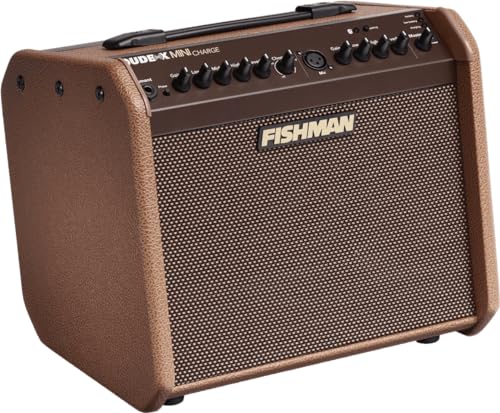 Fishman Loudbox Mini Charge Da 60 W, Amplificatore Per Chitarra Acustica Bluetooth A Batteria, Marrone