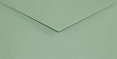Netuno 100 Buste Da Lettera Lunghe Verde Tè Formato Dl 110 X 220 Mm 120G Keaykolour Matcha Tea Buste Lettere Ecologiche Buste Colorate Eleganti Per Pa