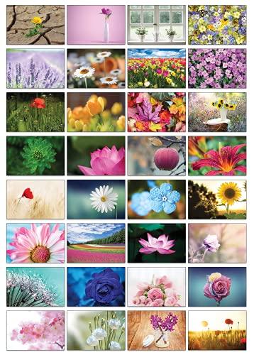The Lazy Panda Card Company Selezione Di Cartoline Naturali: 32 Cartoline In Diversi Motivi Naturali (Bellissimi Fiori)