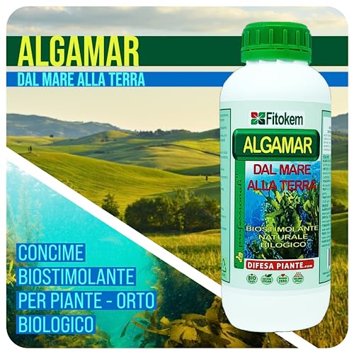 Fitokem Algamar - Concime Piante Verdi, Prato, Orto, Agrumi, Limoni (1 Kg) Fertilizzante Piante Naturale Biostimolante Con Alghe Brune, Rinvigorisce E