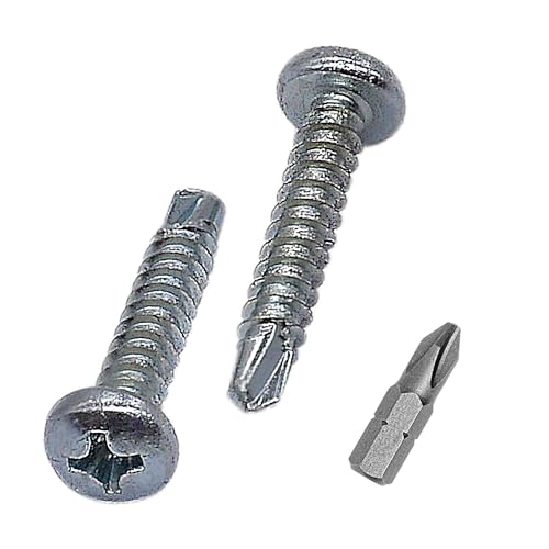 Skir'Co (100 Pz.) Viti Autoperforanti 3,9 X 19 Mm, Testa Bombata Phillips, Viti Zincate Din 7504 N, Viti Autofilettanti
