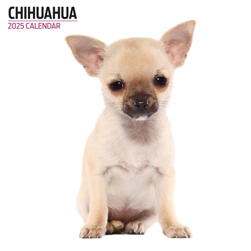 Calendario Moderno 2025 Chihuahua