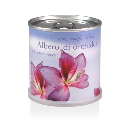 Extragifts Fiori In Lattina - Albero Di Orchidea (Bauhinia Purpurea)