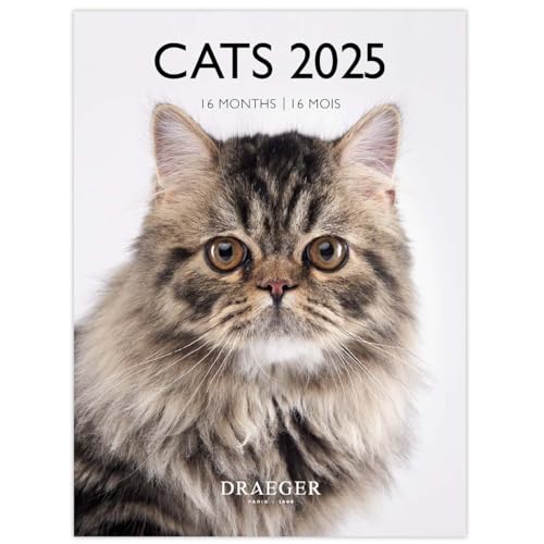Draeger Paris 1886 | Piccolo Calendario Da Parete Gatti 2025 | 14X18 Cm | Settembre 2024 A Dicembre 2025 | 12 Foto | 7 Lingue | Carta Di Alta Qualità