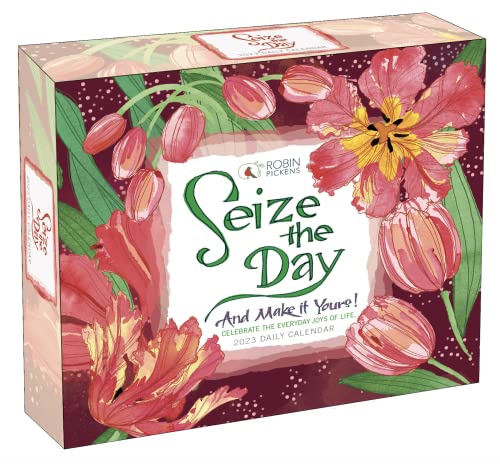 Seize The Day And Make It Yours 2023 Daily Calendar