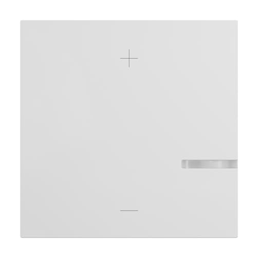 Legrand, Seano 765141 - Altalena A 2 Conduttori, Con Finestra Di Illuminazione Per Led Di Stato, Colore: Bianco Ultra