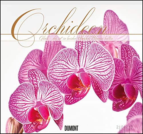 Orchideen 2023 - Calendario Da Parete Dumont Con Le Principali Festività, Formato 38,0 X 35,5 Cm
