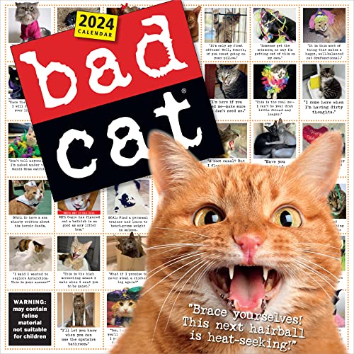 Bad Cat 2024 Calendar: Celebrating The Misfits Of The Feline World