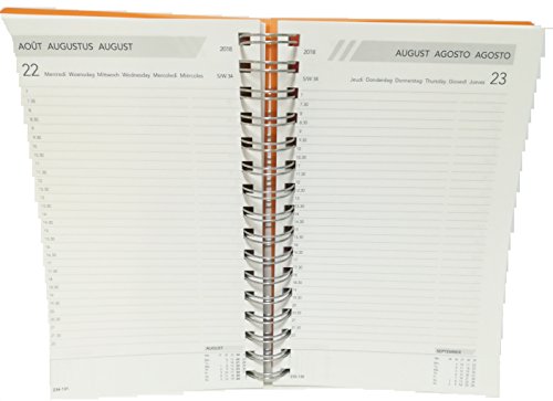 Agenda Daily Wire-O, 14 X 21 Cm, Colori Assortiti