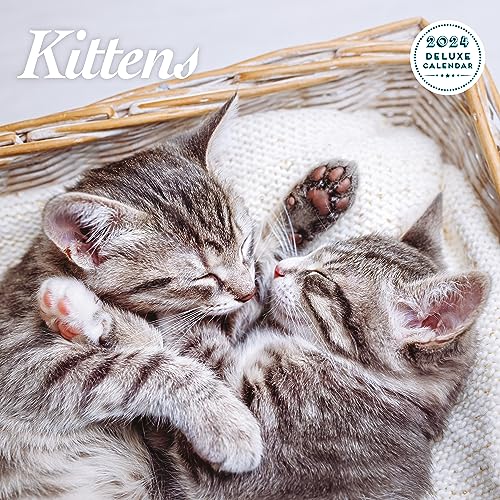 Calendario 2024 Kitten Deluxe