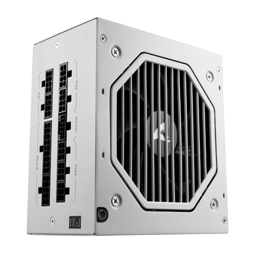 Atx 3.1 Fully-Modular Cybenetics Gold 750W