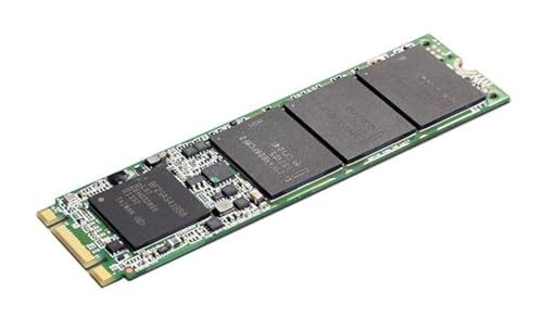 Lenovo Liteon Cl1-4D256 256Gb M.2Pcie 2242 Ssd, Fru5Ss0V15983 (2242 Ssd)