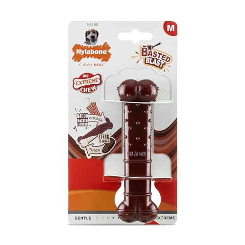 Nylabone, Basted Blast, Gioco Per Cani In Nylon Masticabile, Forma Dell'Osso, Durevole, Gusto: Pancetta E Bistecca, Medio, Per Cani Fino A 16 Kg, Conf