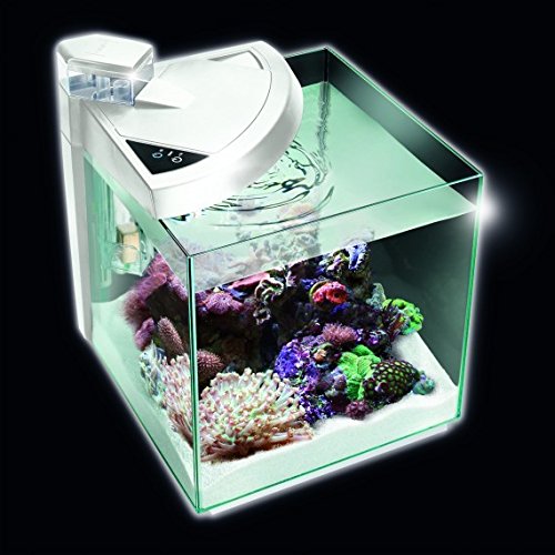 Newa More 50 Litri Reef