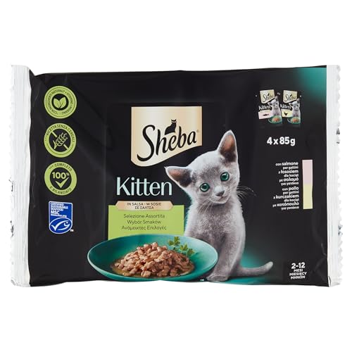 Sheba Kitten In Salsa Cibo Umido Gatto Gattino Selezione Assortita 4X85G