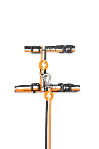 Dashi Stripes3 Orange & Black Cat Harness + Leash