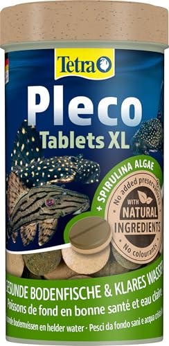 Tetra Pleco Xl Compresse – Mangime Per Pesci Ricco Di Sostanze Nutritive Per Tutti I Pesci Erbivori Di Terra Più Grandi Con Bocca Inferiore, Barattolo