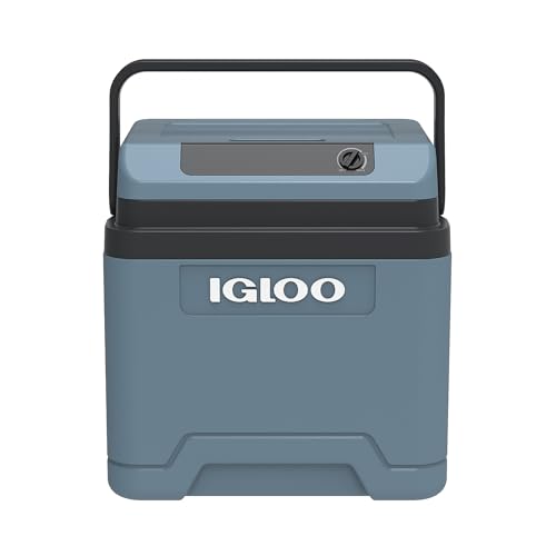 Igloo Contenitore Frigo Ie24 12/230 Volt 24 Litri, Taglia Unica, Grigio