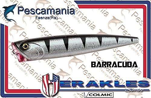 Herakles Mullets Barracuda