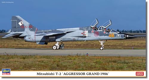 ハセガワ- Modellino, Multicolore, 607543