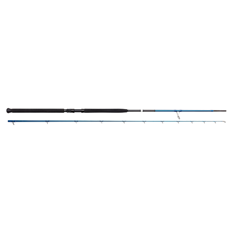 Savage Gear SGS2 Shore Jigging 9'6''M canna da shore jigging 20/80 gr.