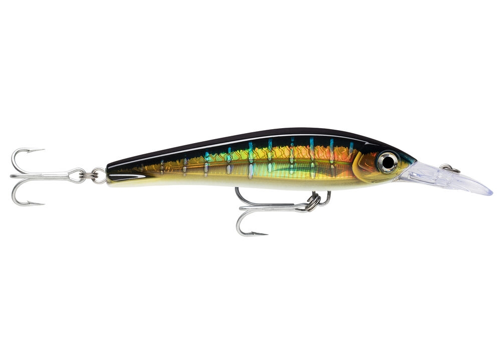 Rapala X-Rap® Magnum Xtreme 16 artificiale da traina : Colore - HDSFU